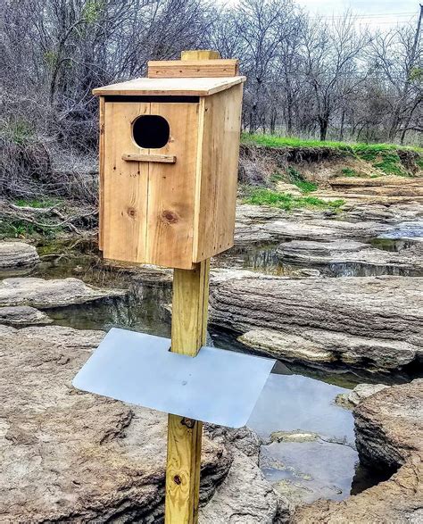 how to build a duck box